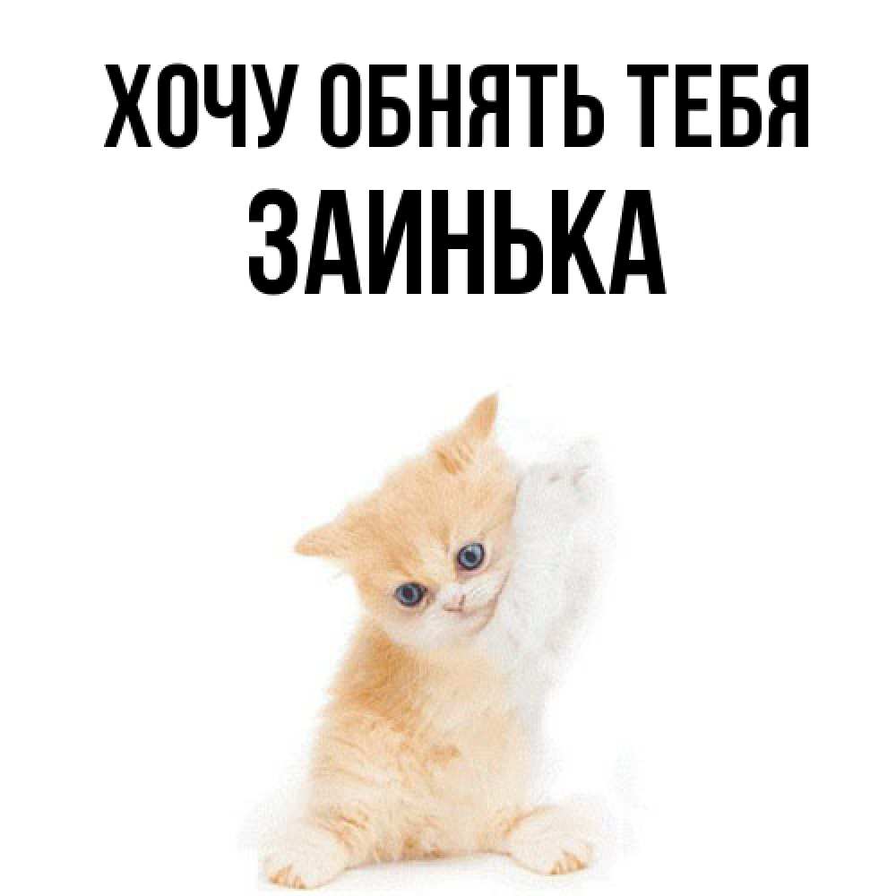Открытка на каждый день с именем, Заинька Хочу обнять тебя я хочу очень скорее обнимаешек Прикольная открытка с пожеланием онлайн скачать бесплатно 