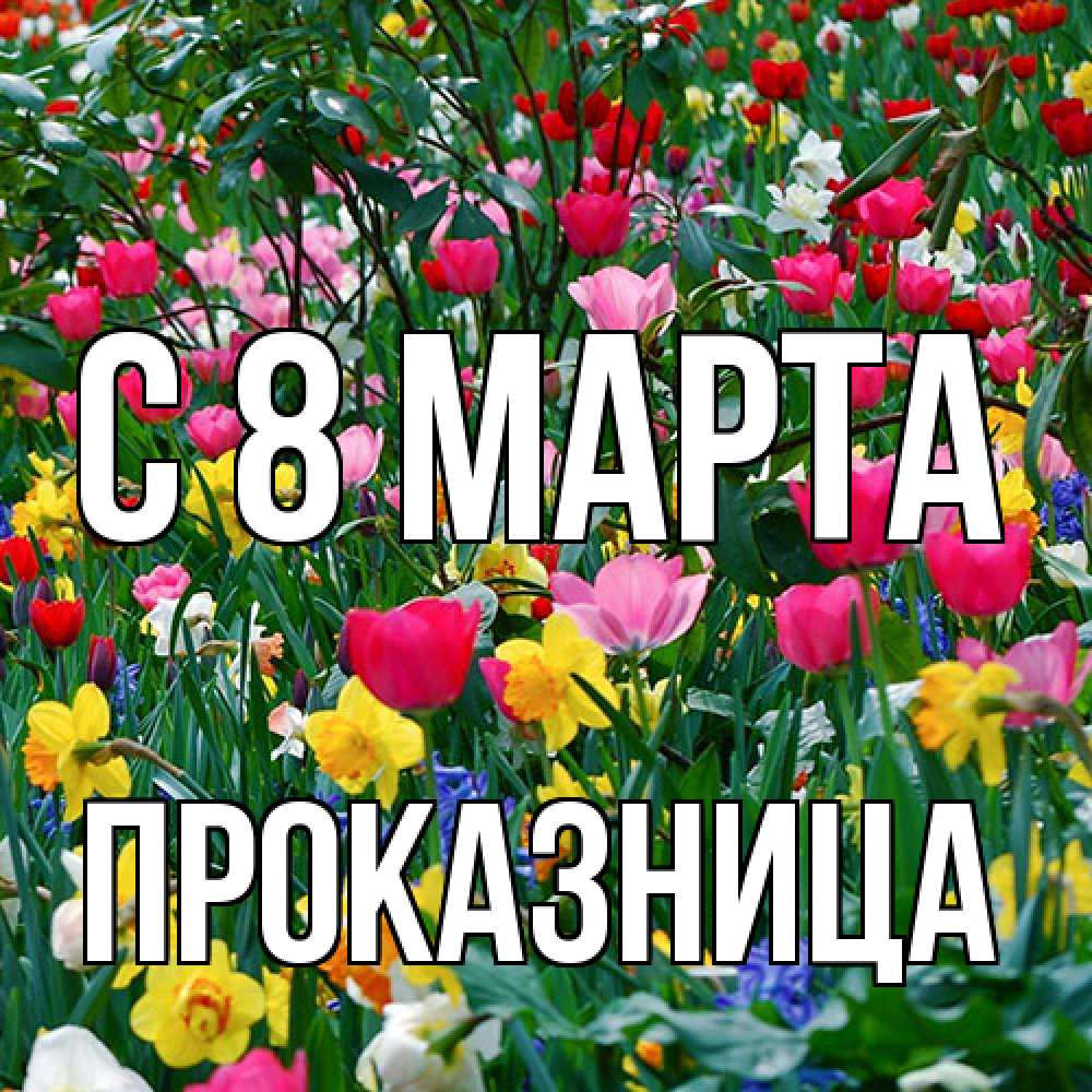 Открытка на каждый день с именем, Проказница C 8 МАРТА с международным женским днем поздравления для женщины Прикольная открытка с пожеланием онлайн скачать бесплатно 