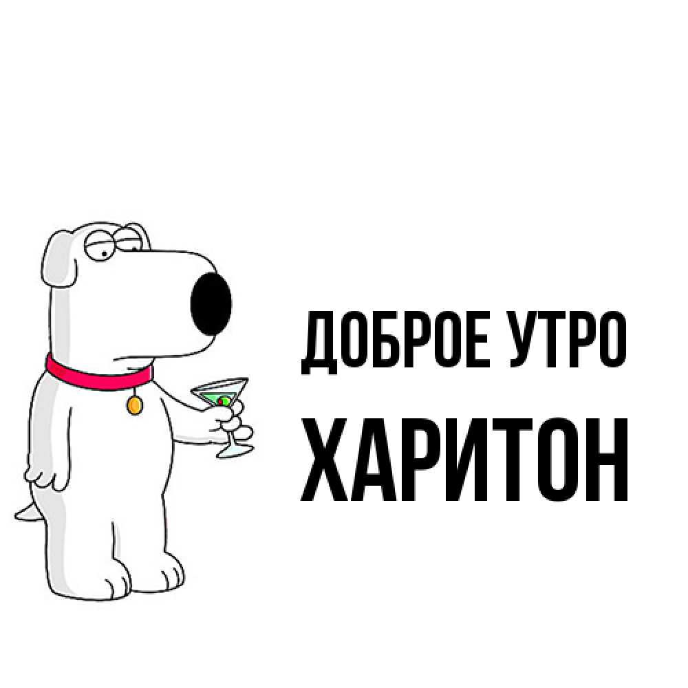 Открытка на каждый день с именем, Харитон Доброе утро герои мультфильмов белый пес Прикольная открытка с пожеланием онлайн скачать бесплатно 