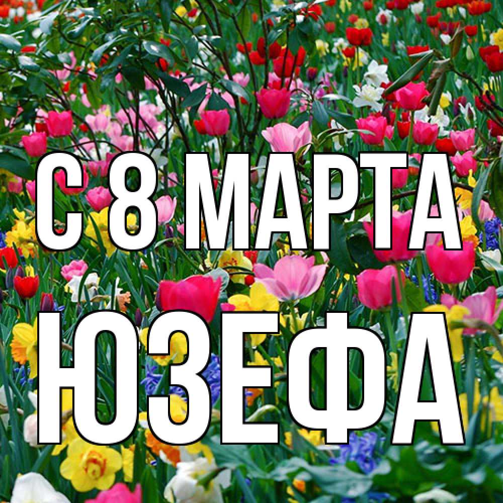 Открытка на каждый день с именем, Юзефа C 8 МАРТА с международным женским днем поздравления для женщины Прикольная открытка с пожеланием онлайн скачать бесплатно 