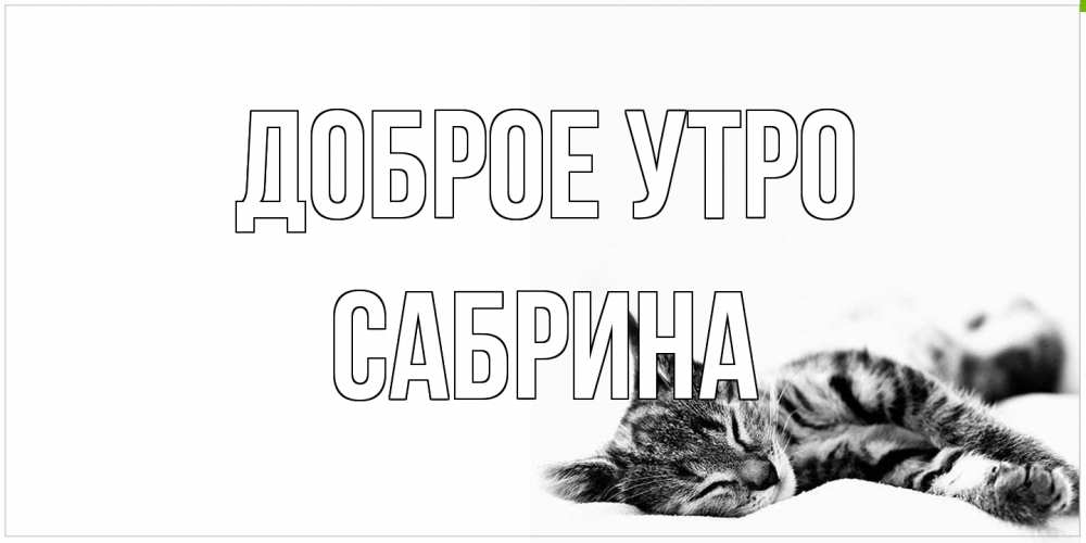 Открытка на каждый день с именем, Сабрина Доброе утро котуся Прикольная открытка с пожеланием онлайн скачать бесплатно 