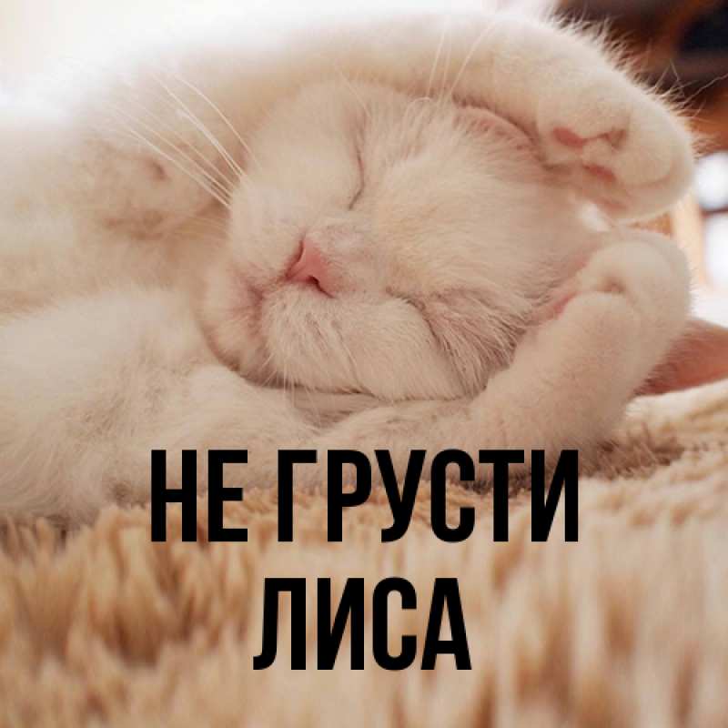 Картинка Не грусти, лиса