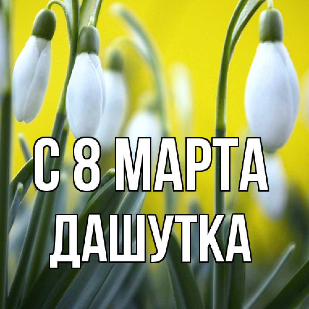 Открытка на каждый день с именем, Дашутка C 8 МАРТА весенние цветы Прикольная открытка с пожеланием онлайн скачать бесплатно 