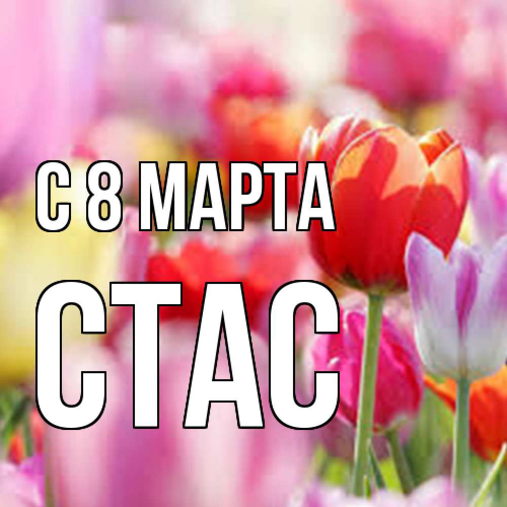 Открытка на каждый день с именем, Стас C 8 МАРТА на международный женский день 2 Прикольная открытка с пожеланием онлайн скачать бесплатно 