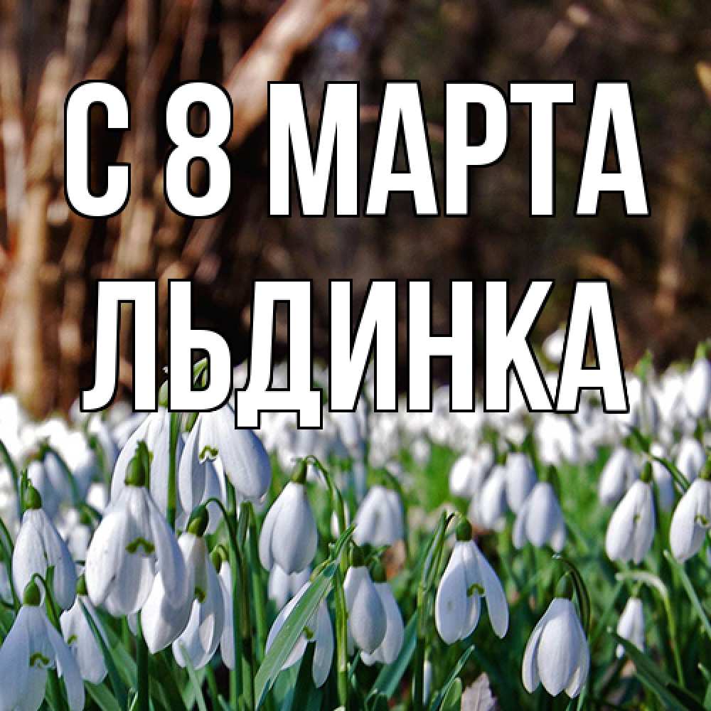 Открытка на каждый день с именем, льдинка C 8 МАРТА с подснежниками 1 Прикольная открытка с пожеланием онлайн скачать бесплатно 