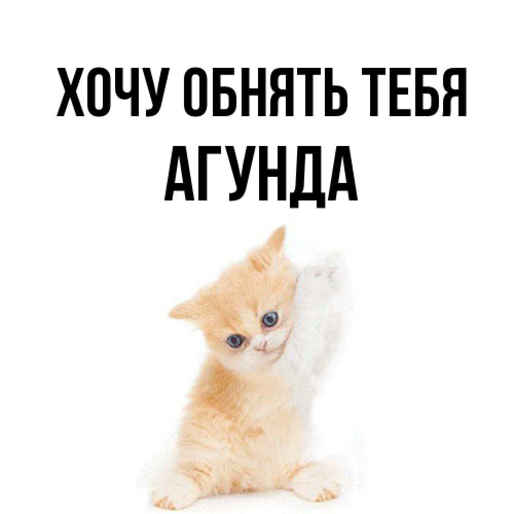 Открытка на каждый день с именем, Агунда Хочу обнять тебя я хочу очень скорее обнимаешек Прикольная открытка с пожеланием онлайн скачать бесплатно 