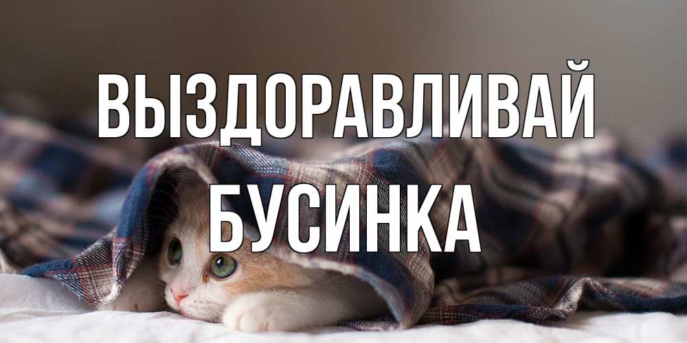 Открытка на каждый день с именем, Бусинка Выздоравливай не болейте с котиком Прикольная открытка с пожеланием онлайн скачать бесплатно 
