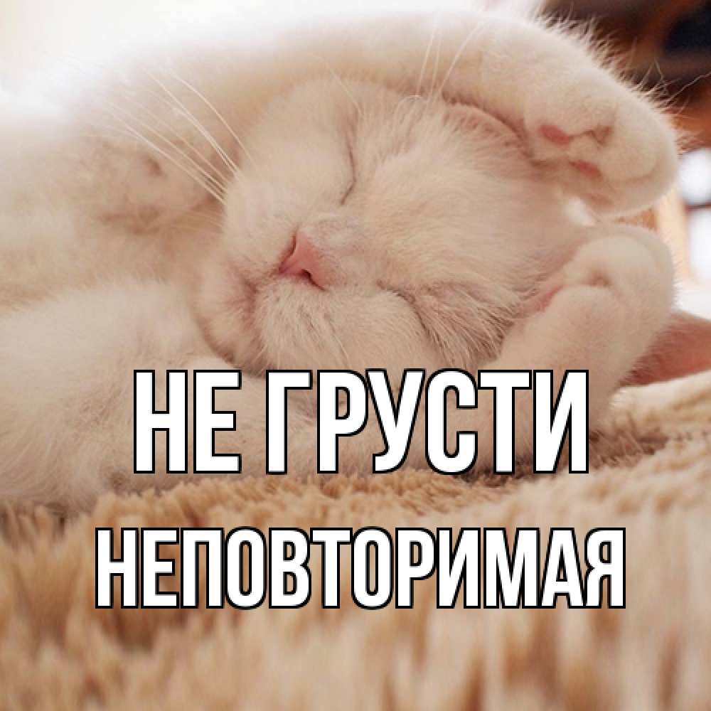 Открытка на каждый день с именем, Неповторимая Не грусти белый кот Прикольная открытка с пожеланием онлайн скачать бесплатно 