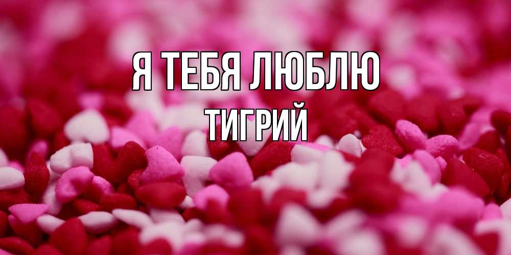 Открытка на каждый день с именем, Тигрий Я тебя люблю красивая открытка с признанием в любви Прикольная открытка с пожеланием онлайн скачать бесплатно 