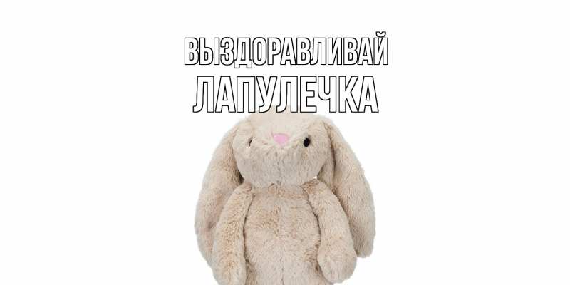 Картинка Выздоравливай, Лапулечка