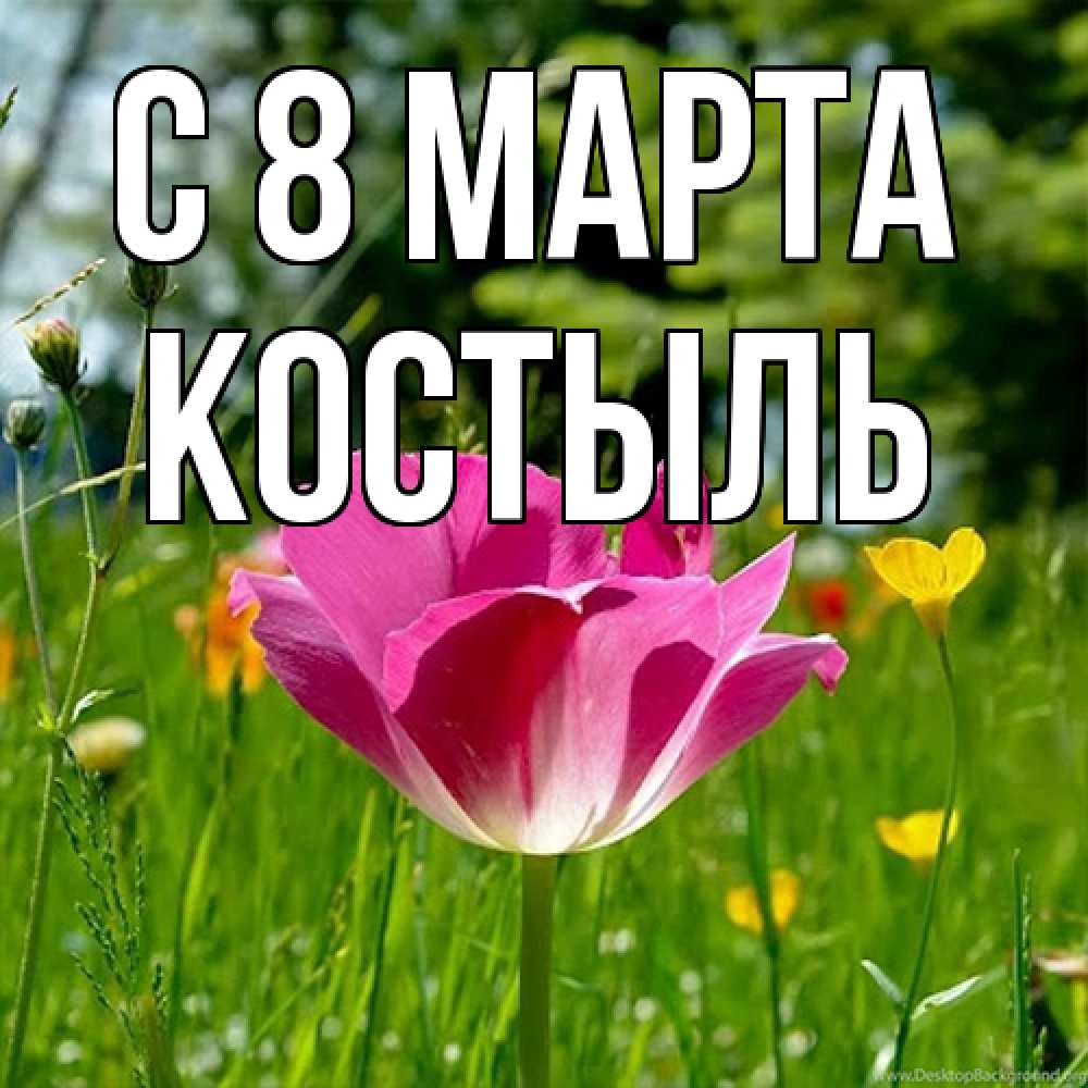 Открытка на каждый день с именем, Костыль C 8 МАРТА полевые цветы Прикольная открытка с пожеланием онлайн скачать бесплатно 