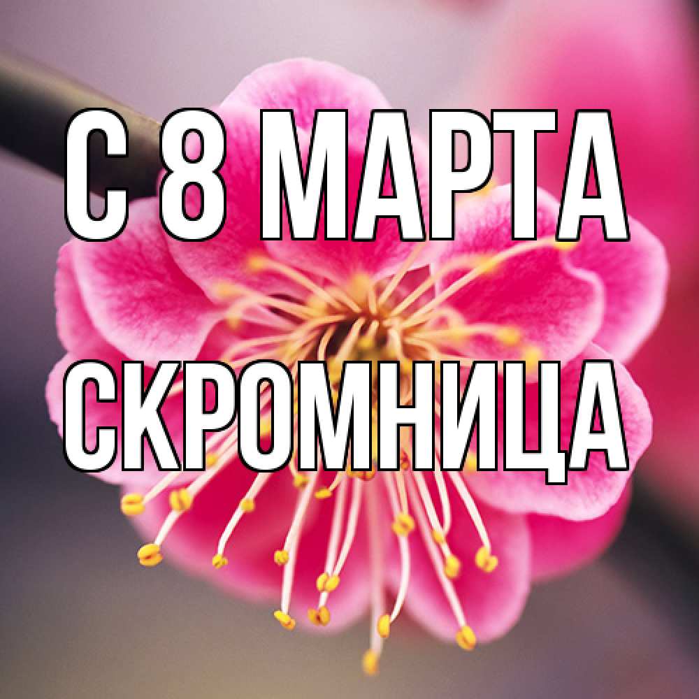 Открытка на каждый день с именем, Скромница C 8 МАРТА цветы Прикольная открытка с пожеланием онлайн скачать бесплатно 