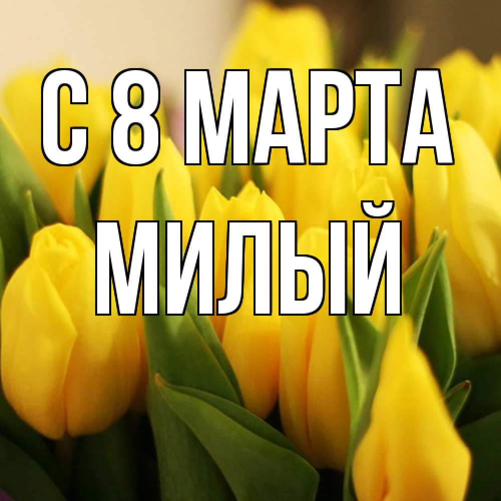 Открытка на каждый день с именем, Милый C 8 МАРТА цветы Прикольная открытка с пожеланием онлайн скачать бесплатно 