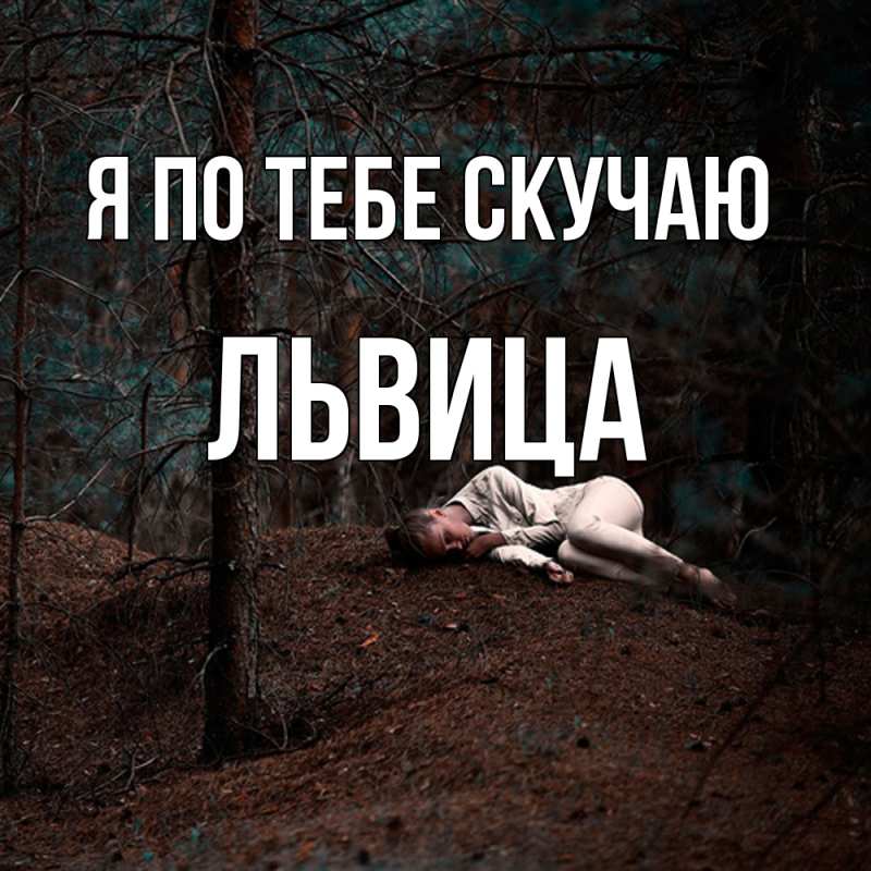 Картинка Я по тебе скучаю, Львица