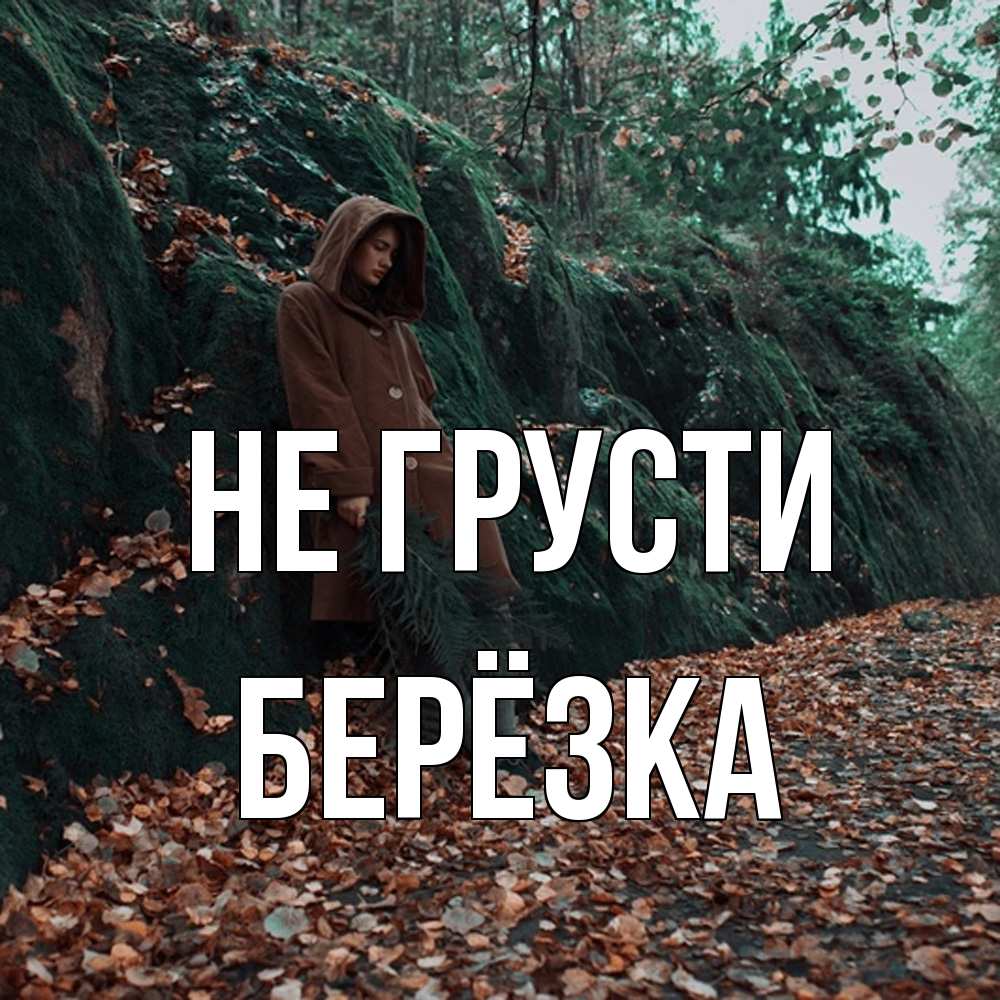 Открытка на каждый день с именем, Берёзка Не грусти осенний лес Прикольная открытка с пожеланием онлайн скачать бесплатно 