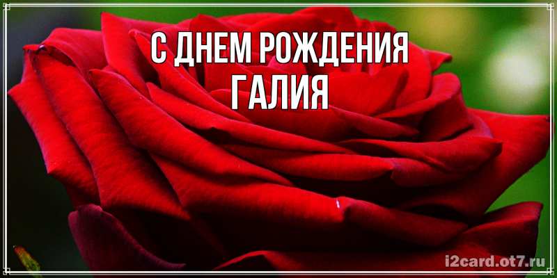 Картинка С днем рождения, Галия