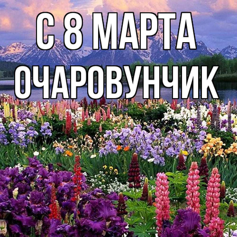 Открытка на каждый день с именем, Очаpовунчик C 8 МАРТА международный женский день Прикольная открытка с пожеланием онлайн скачать бесплатно 