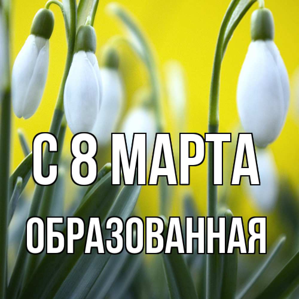 Открытка на каждый день с именем, Образованная C 8 МАРТА весенние цветы Прикольная открытка с пожеланием онлайн скачать бесплатно 