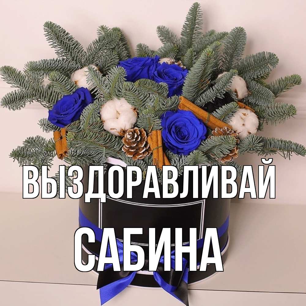 Открытка на каждый день с именем, Сабина Выздоравливай короче кто то загрузил эти шишки Прикольная открытка с пожеланием онлайн скачать бесплатно 