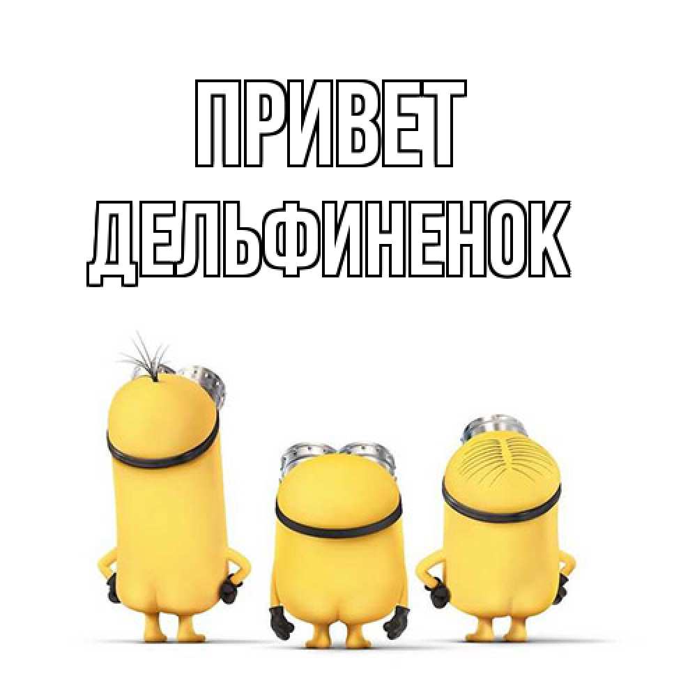Открытка на каждый день с именем, дельфиненок Привет приветики Прикольная открытка с пожеланием онлайн скачать бесплатно 