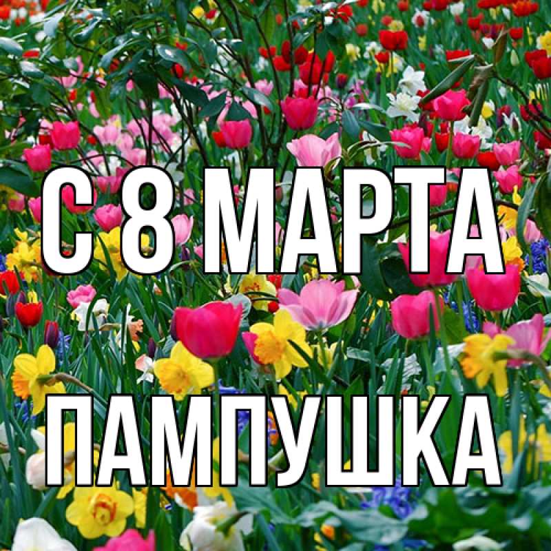 Картинка C 8 МАРТА, Пампушка