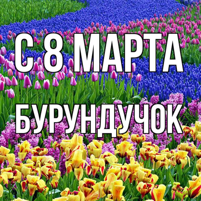Картинка C 8 МАРТА, бурундучок