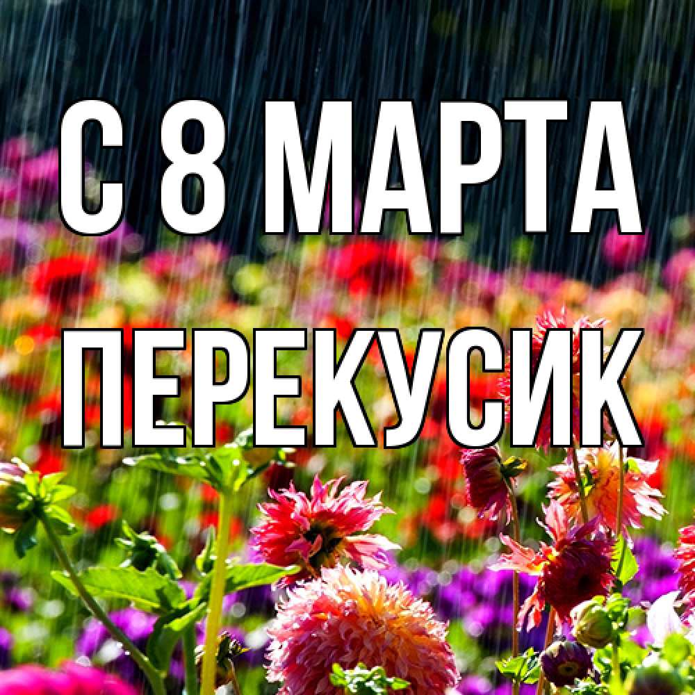 Открытка на каждый день с именем, Перекусик C 8 МАРТА цветы под дождиком к международному женскому дню Прикольная открытка с пожеланием онлайн скачать бесплатно 