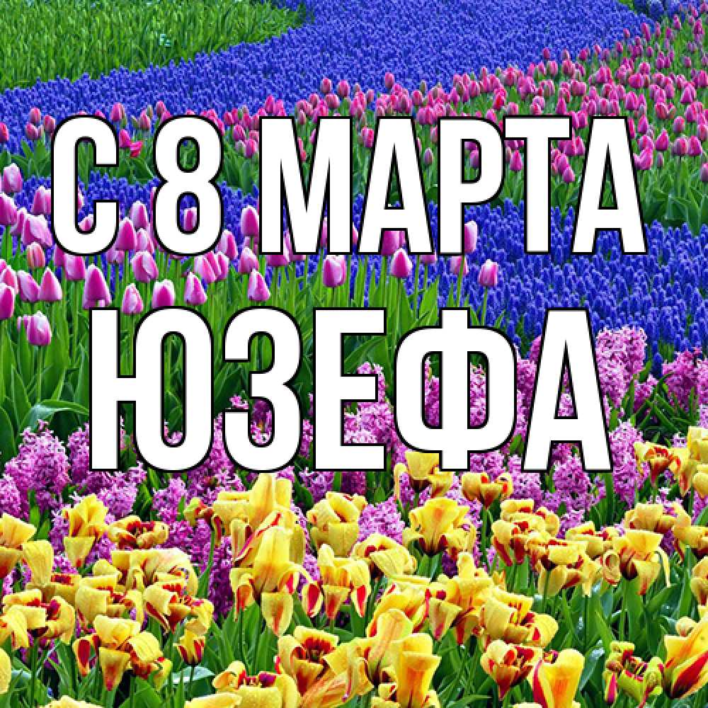 Открытка на каждый день с именем, Юзефа C 8 МАРТА цветы Прикольная открытка с пожеланием онлайн скачать бесплатно 