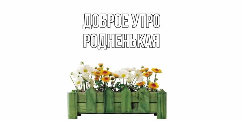 Картинка Доброе утро, Родненькая