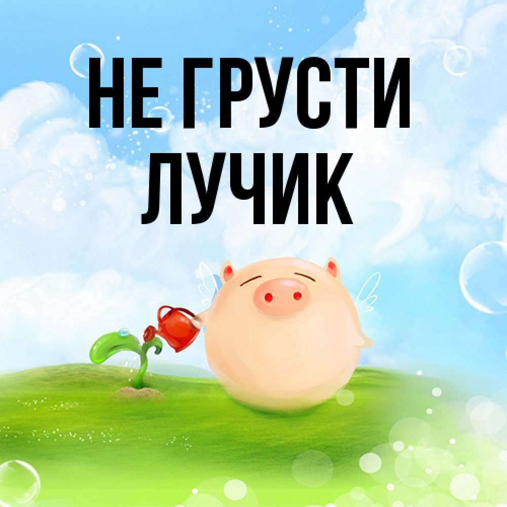 Открытка на каждый день с именем, Лучик Не грусти поливает цветок порося Прикольная открытка с пожеланием онлайн скачать бесплатно 
