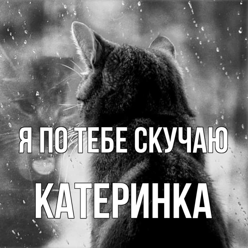 Картинка Я по тебе скучаю, Катеринка