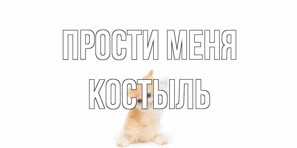 Открытка на каждый день с именем, Костыль Прости меня кот Прикольная открытка с пожеланием онлайн скачать бесплатно 