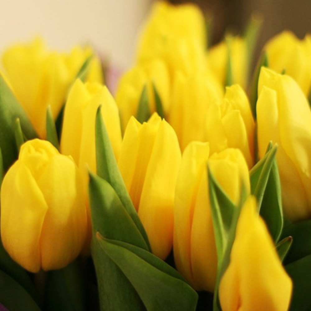 Открытка на каждый день с именем, Олененочек C 8 МАРТА цветы Прикольная открытка с пожеланием онлайн скачать бесплатно 