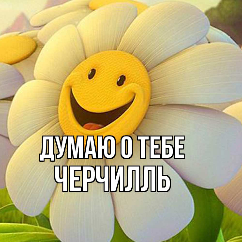 Открытка на каждый день с именем, Черчилль Думаю о тебе позитивные мысли Прикольная открытка с пожеланием онлайн скачать бесплатно 