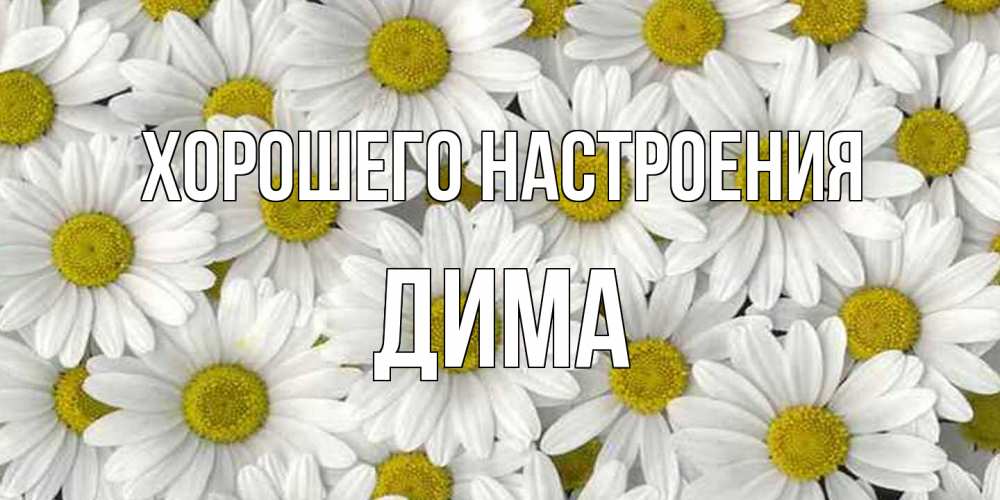 Открытка на каждый день с именем, Дима Хорошего настроения поляна ромашек Прикольная открытка с пожеланием онлайн скачать бесплатно 