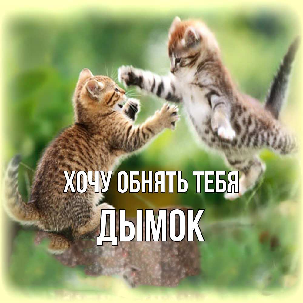 Открытка на каждый день с именем, Дымок Хочу обнять тебя игры котят Прикольная открытка с пожеланием онлайн скачать бесплатно 