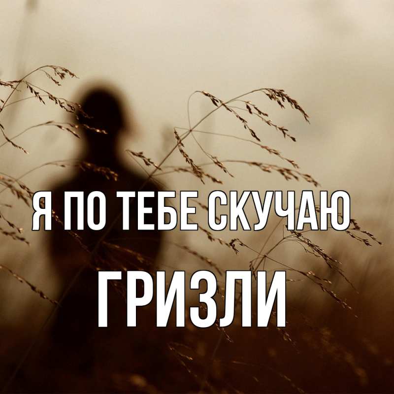 Картинка Я по тебе скучаю, Гризли