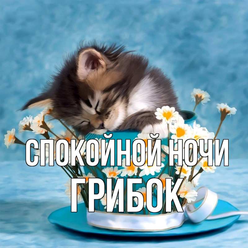 Картинка Спокойной ночи, Грибок