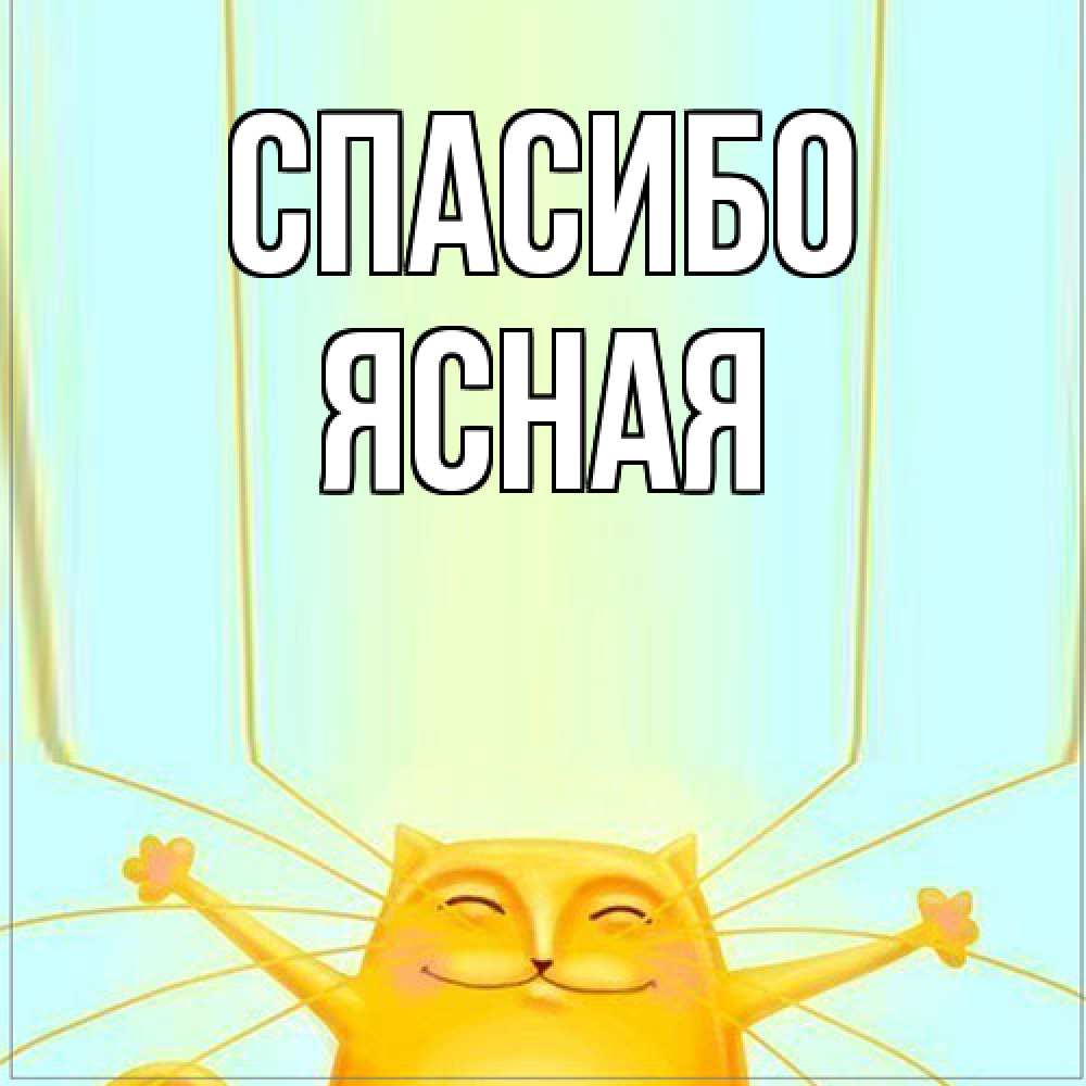 Открытка на каждый день с именем, Ясная Спасибо кот с усами благодарит Прикольная открытка с пожеланием онлайн скачать бесплатно 