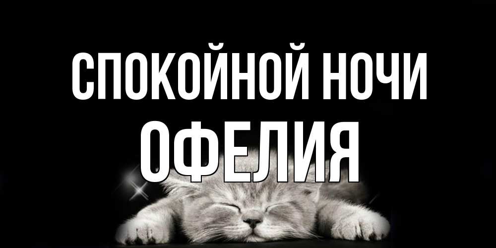Открытка на каждый день с именем, Офелия Спокойной ночи спящий котик Прикольная открытка с пожеланием онлайн скачать бесплатно 