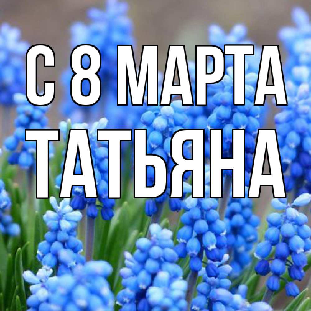 Открытка на каждый день с именем, Татьяна C 8 МАРТА Поздравительная открытка для женщин с цветами на праздничную дату Прикольная открытка с пожеланием онлайн скачать бесплатно 