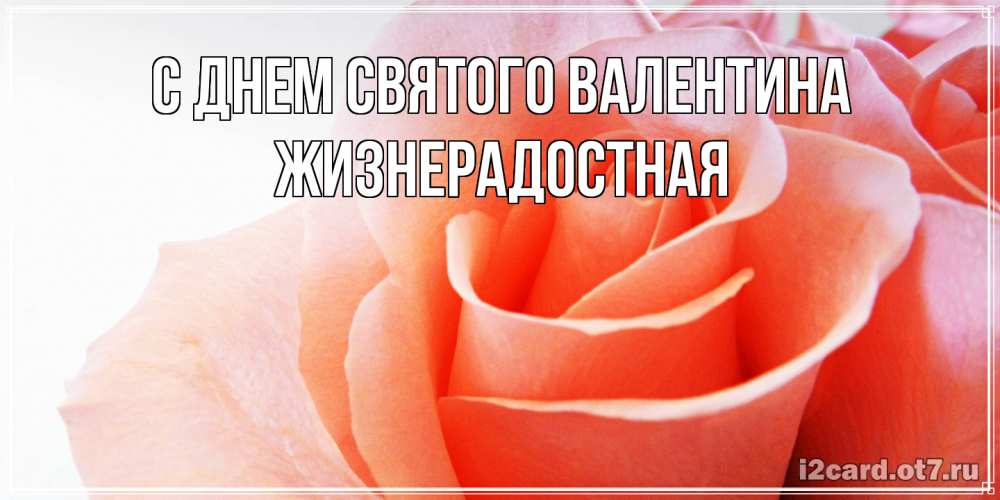 Открытка на каждый день с именем, Жизнерадостная С днем Святого Валентина открытка на день Святого Валентина с розовой розой Прикольная открытка с пожеланием онлайн скачать бесплатно 