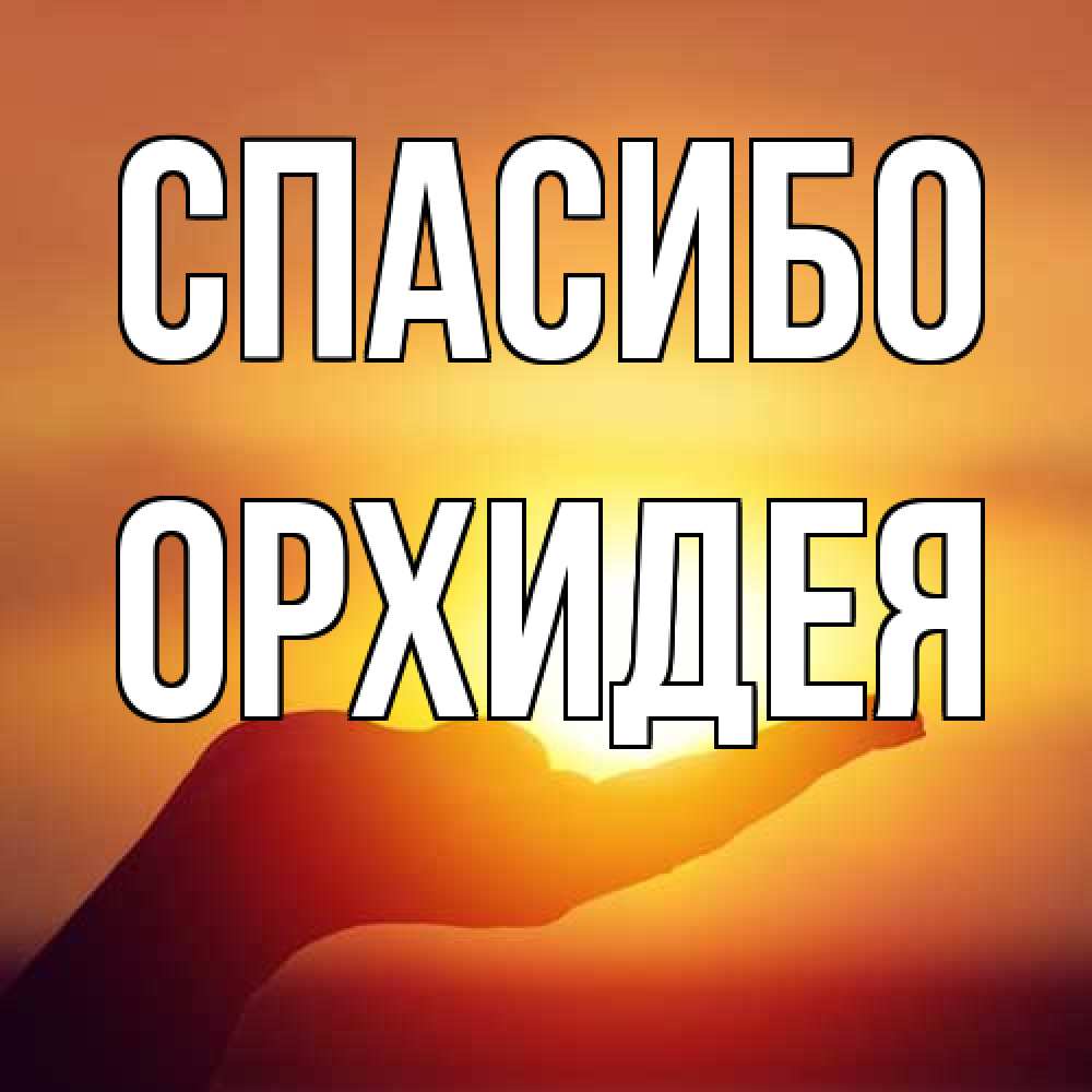 Открытка на каждый день с именем, Орхидея Спасибо закат Прикольная открытка с пожеланием онлайн скачать бесплатно 