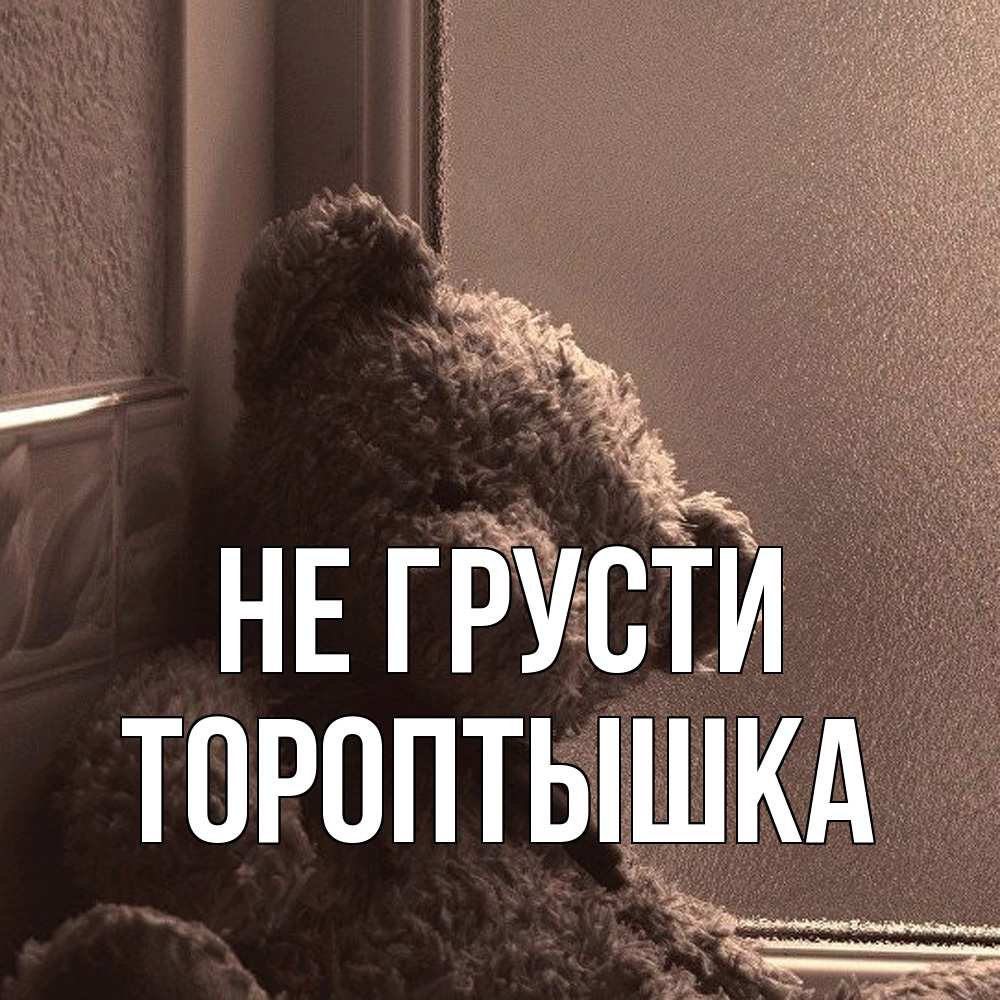 Открытка на каждый день с именем, Тороптышка Не грусти стекол рефленое Прикольная открытка с пожеланием онлайн скачать бесплатно 