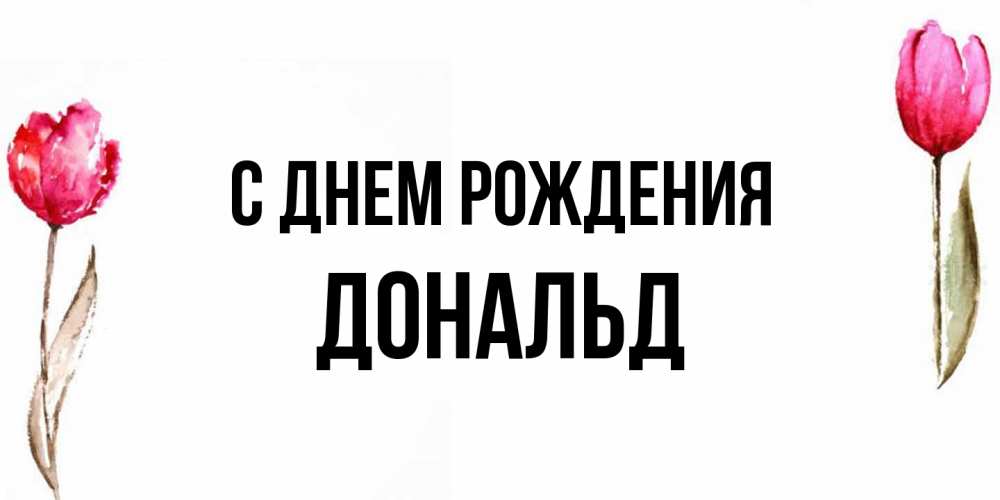 Открытка на каждый день с именем, Дональд С днем рождения открытки акварелью с цветами Прикольная открытка с пожеланием онлайн скачать бесплатно 