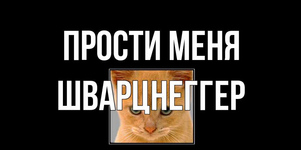 Открытка на каждый день с именем, Шварцнеггер Прости меня рыжий грустный кот просит прощения Прикольная открытка с пожеланием онлайн скачать бесплатно 