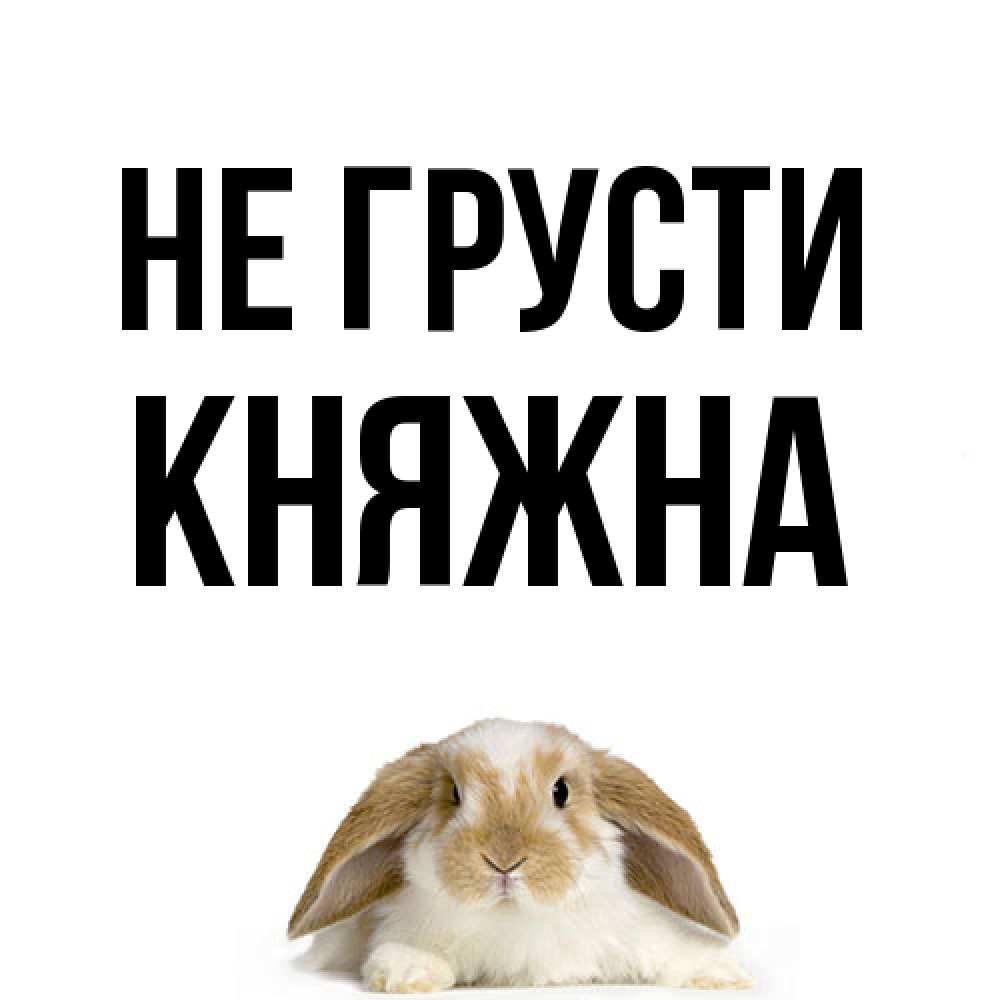 Открытка на каждый день с именем, Княжна Не грусти коричнево белый заяц с большими ушками Прикольная открытка с пожеланием онлайн скачать бесплатно 