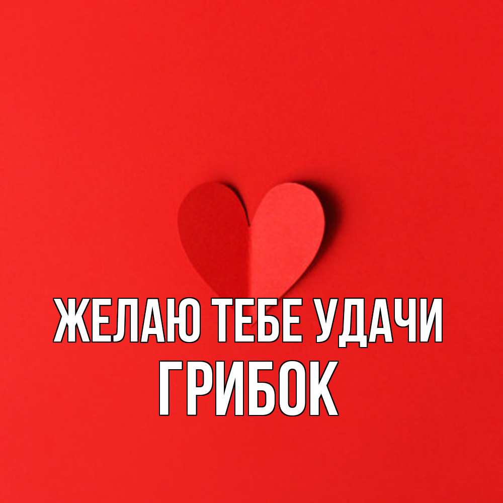 Открытка на каждый день с именем, Грибок Желаю тебе удачи пусть повезет для любимых 1 Прикольная открытка с пожеланием онлайн скачать бесплатно 