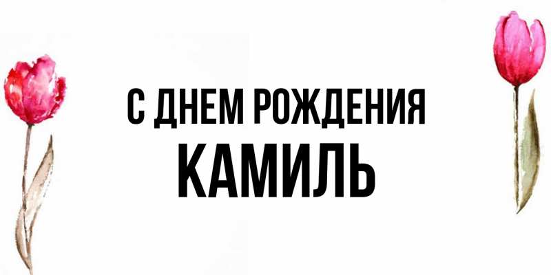 Картинка С днем рождения, Камиль