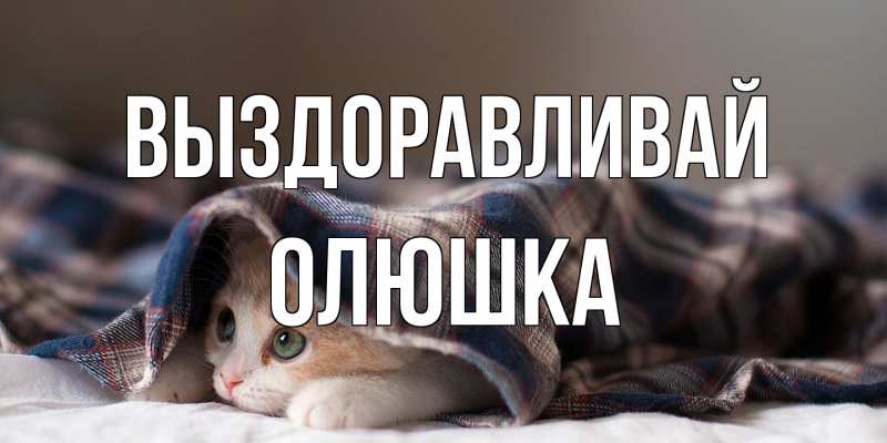 Картинка Выздоравливай, Олюшка